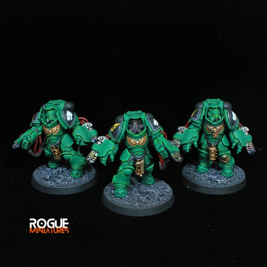 Spacemarine Aggressors Squad *ADVANCED* Painted commission service